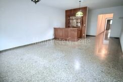 Aruanã1