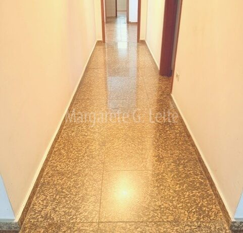 Aruanã4